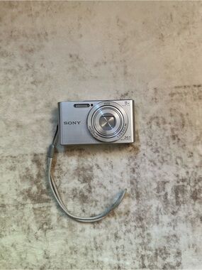Sony Cyber-shot DSC-W830 Silver Digital Camera 20.1MP 8X Zoom